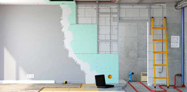 Best Environmental Consulting for Mold Prevention  in Windsor, CO
